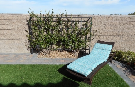 climbing vines real grass stone pavers and lounge chair