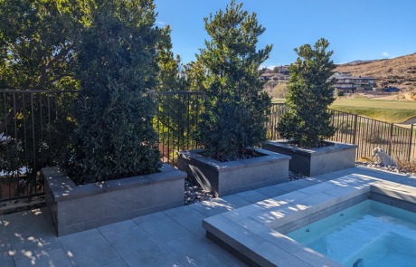 Las Vegas landscape contractor