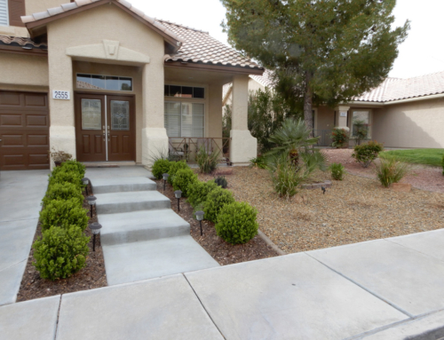 New Home, New Landscape: A First-Time Home Buyer’s Guide to Vegas Yards